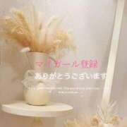 ヒメ日記 2025/10/27 00:33 投稿 りょう 熟女の風俗最終章 町田店