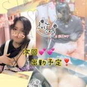 ヒメ日記 2024/12/12 23:16 投稿 みけ ぼくらのデリヘルランドin久喜店