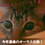 ヒメ日記 2024/12/27 07:16 投稿 みけ ぼくらのデリヘルランドin久喜店