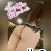 ヒメ日記 2024/12/13 18:49 投稿 りの 白いぽっちゃりさん五反田店