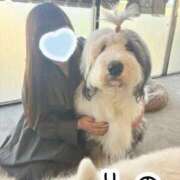 ヒメ日記 2025/02/14 21:29 投稿 りの 白いぽっちゃりさん五反田店