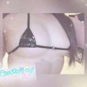 ヒメ日記 2026/03/13 15:49 投稿 りの 白いぽっちゃりさん五反田店