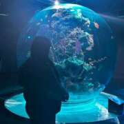 ヒメ日記 2025/01/05 12:29 投稿 あいら スピードエコ日本橋店