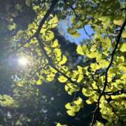 ヒメ日記 2025/02/18 14:29 投稿 あいら スピードエコ日本橋店