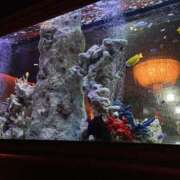 ヒメ日記 2026/02/11 17:29 投稿 あいら スピードエコ日本橋店