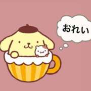 ヒメ日記 2025/02/21 14:07 投稿 紫紅 なほ Canx2京都店