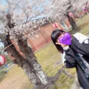 ヒメ日記 2025/04/05 13:12 投稿 紫紅 なほ Canx2京都店