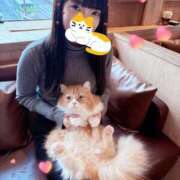 ヒメ日記 2025/02/22 21:16 投稿 しほ E+アイドルスクール池袋店