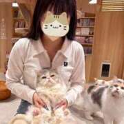 ヒメ日記 2025/06/04 19:04 投稿 しほ E+アイドルスクール池袋店