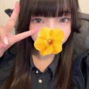 ヒメ日記 2025/06/26 18:46 投稿 しほ E+アイドルスクール池袋店