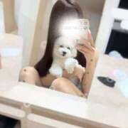 ヒメ日記 2025/05/31 17:18 投稿 あんじゅ カクテル(岡山)