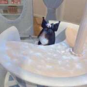 ヒメ日記 2025/10/21 05:00 投稿 イヴ Venti大阪