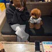 ヒメ日記 2025/11/07 20:50 投稿 イヴ Venti大阪