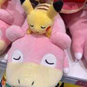 ヒメ日記 2025/12/06 10:21 投稿 本田 岬 RAO-ラオウ-