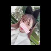ヒメ日記 2025/02/06 00:08 投稿 小野寺ことみ Mrs. Dandy