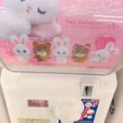 ヒメ日記 2025/04/22 01:11 投稿 小野寺ことみ Mrs. Dandy