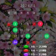 Rin Izumi 卒業シーズン ELEGANT－エレガント－