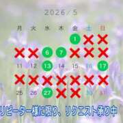 ヒメ日記 2026/04/27 10:03 投稿 Rin Izumi ELEGANT－エレガント－