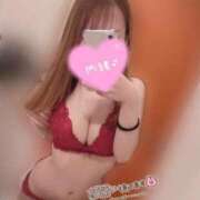 ヒメ日記 2025/04/29 20:41 投稿 エル 千葉美女革命