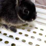 ヒメ日記 2025/09/12 18:11 投稿 りあ 熟女家 十三店