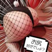 ヒメ日記 2025/02/19 20:04 投稿 ほまれ まじらぶ！