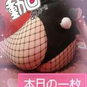 ヒメ日記 2025/02/20 19:45 投稿 ほまれ まじらぶ！