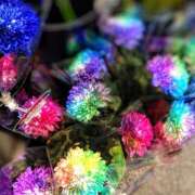 ヒメ日記 2024/12/13 23:41 投稿 あめ 渋谷蘭の会