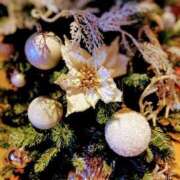 ヒメ日記 2024/12/17 23:56 投稿 あめ 渋谷蘭の会