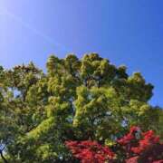 ヒメ日記 2025/05/07 23:21 投稿 あめ 渋谷蘭の会