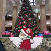 ヒメ日記 2025/12/24 18:35 投稿 あめ 渋谷蘭の会