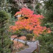 ヒメ日記 2026/01/02 08:35 投稿 あめ 渋谷蘭の会
