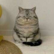 ヒメ日記 2025/04/20 07:20 投稿 ひめか 電車ごっこ