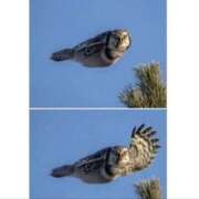 ヒメ日記 2026/03/13 14:00 投稿 ひめか 電車ごっこ