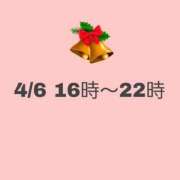 ヒメ日記 2025/04/04 18:50 投稿 るきあ 電車ごっこ