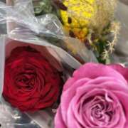 ヒメ日記 2025/10/10 05:47 投稿 【プレミア】星川めあ Neo Elegance（ネオエレガンス）