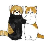 ヒメ日記 2025/01/09 00:34 投稿 みなみ イエローキャブ