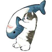 ヒメ日記 2025/01/20 22:27 投稿 みなみ イエローキャブ