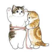 ヒメ日記 2025/01/24 21:48 投稿 みなみ イエローキャブ