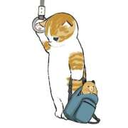 ヒメ日記 2025/02/05 11:19 投稿 みなみ イエローキャブ