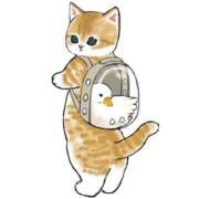 ヒメ日記 2025/02/06 00:22 投稿 みなみ イエローキャブ