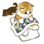 ヒメ日記 2025/03/06 11:04 投稿 みなみ イエローキャブ