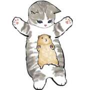 ヒメ日記 2025/04/02 01:25 投稿 みなみ イエローキャブ