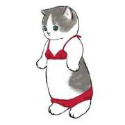 ヒメ日記 2025/05/01 00:55 投稿 みなみ イエローキャブ