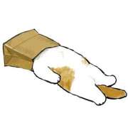 ヒメ日記 2025/05/02 20:17 投稿 みなみ イエローキャブ