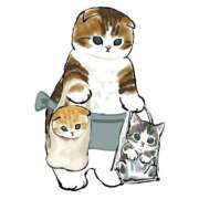 ヒメ日記 2025/05/08 02:16 投稿 みなみ イエローキャブ