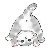 ヒメ日記 2025/06/27 03:50 投稿 みなみ イエローキャブ