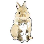 ヒメ日記 2025/06/28 01:03 投稿 みなみ イエローキャブ