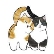 ヒメ日記 2025/07/13 03:10 投稿 みなみ イエローキャブ