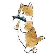 ヒメ日記 2025/08/04 03:42 投稿 みなみ イエローキャブ