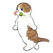 ヒメ日記 2025/08/07 01:07 投稿 みなみ イエローキャブ